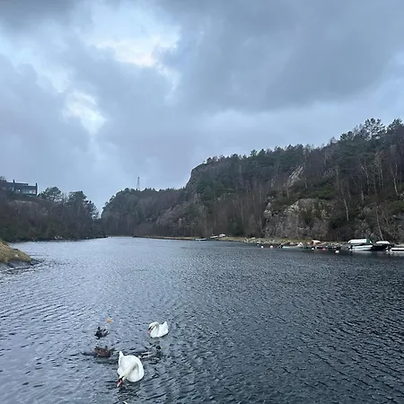 Aurora Trailer Caravan Near Bergen - No Shower No مكان تخييم