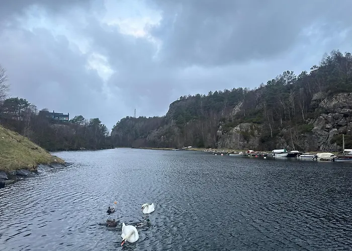Aurora Caravan Near Bergen Campsite